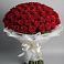 Букет 101 Красная роза Блэк Мэджик в Магасе