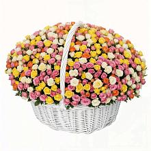 Премиум букет из: Розы в Магасе