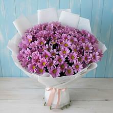 Букет цветов из:  Хризантемы в Магасе