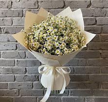 Букет цветов из:  Ромашки в Магасе