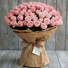 Букет 151 Роза Роуз #REPLACE_PRED# Магасе