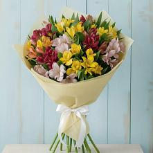 Букет цветов из:  Альстромерии в Магасе