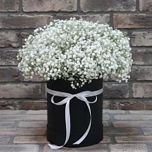Цветочная композиция из Гипсофила в шляпной коробке в Магасе
