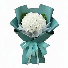 Букет цветов из:  Гортензия #REPLACE_PRED# Магасе
